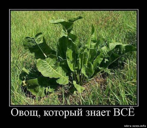 Спроси его - он в курсе