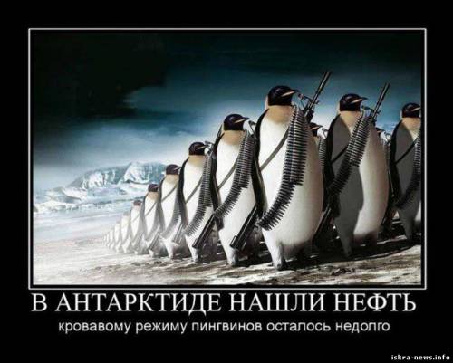 Мы идем к вам